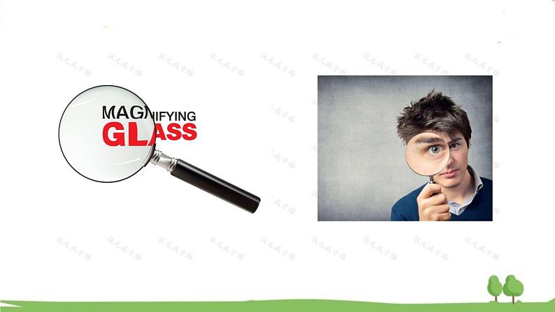 第2课时 生活中常用的几种透镜第4页