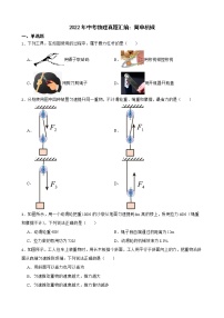 2022年中考物理真题汇编：简单机械及答案