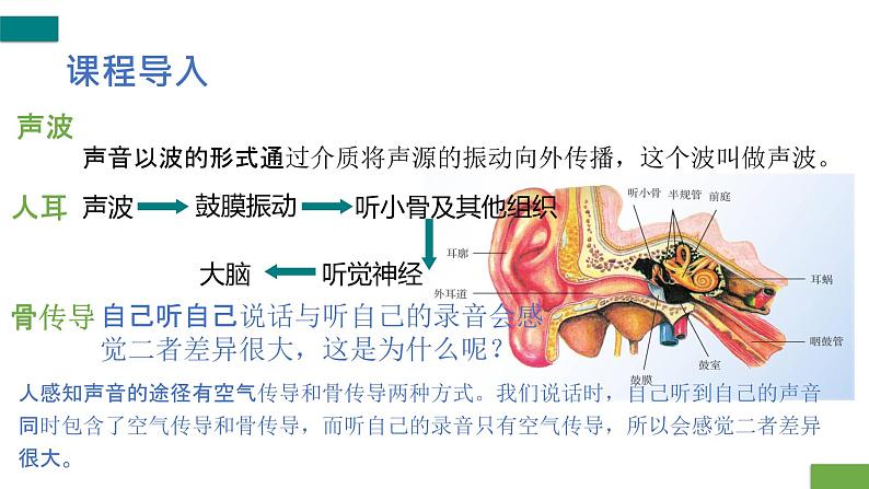 声音的产生与传播-课时2（课件）2022-2023学年人教版物理八年级上册第4页