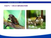 2.1 声音的产生与传播 -2022-2023学年人教版物理八年级上册课件