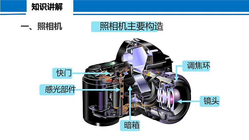 5.2 生活中的透镜 2022-2023学年人教版物理八年级上册课件第5页