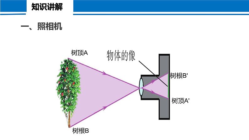 5.2 生活中的透镜 2022-2023学年人教版物理八年级上册课件第6页