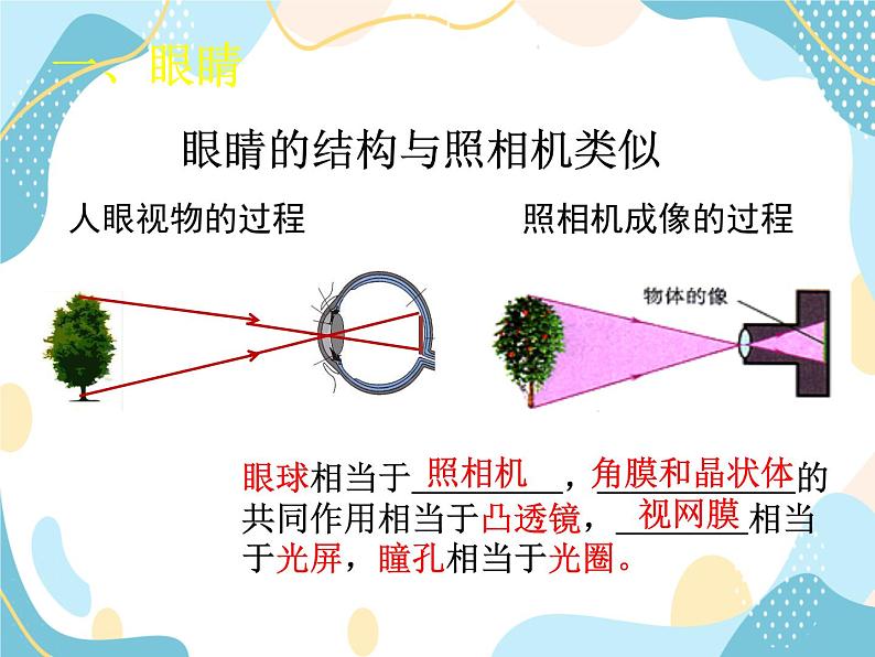 鲁教五四学制物理八年级上册4.4-眼睛和眼镜 课件04