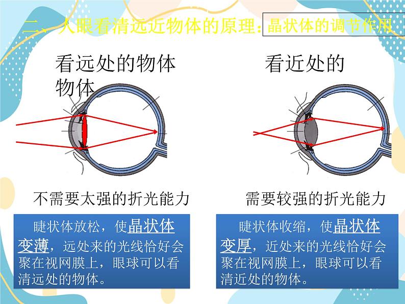 鲁教五四学制物理八年级上册4.4-眼睛和眼镜 课件06