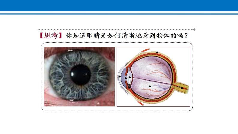 5.4 眼睛和眼镜 课件2022-2023学年人教版物理八年级上册03