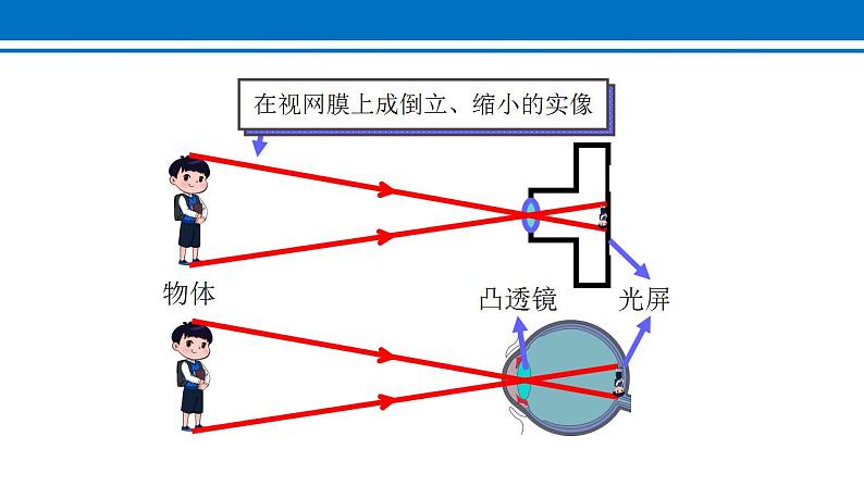 5.4 眼睛和眼镜 课件2022-2023学年人教版物理八年级上册05