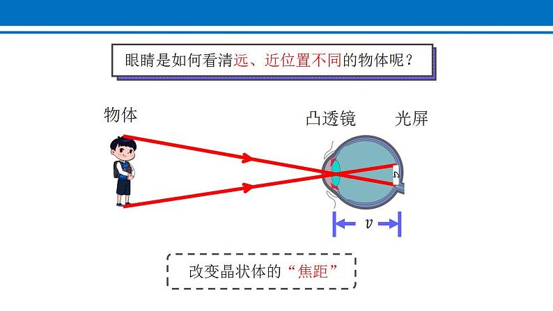 5.4 眼睛和眼镜 课件2022-2023学年人教版物理八年级上册06