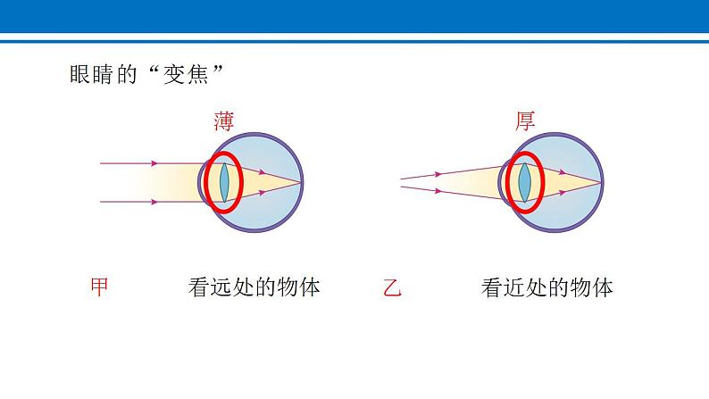 5.4 眼睛和眼镜 课件2022-2023学年人教版物理八年级上册08