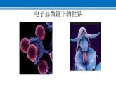 5.5 显微镜与望远镜 课件2022-2023学年人教版物理八年级上册