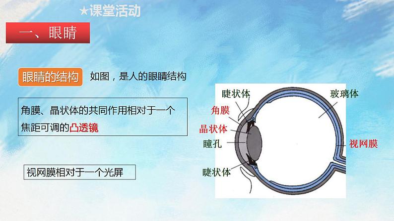 4.6 神奇的眼睛（备课件）【上好课】2021-2022学年八年级物理上册同步备课系列（沪科版）第4页