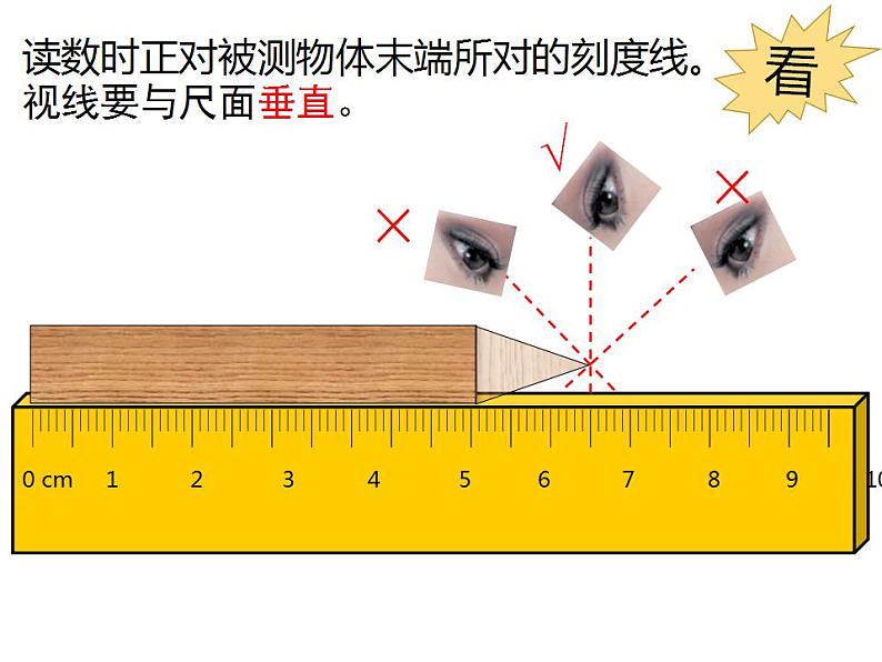 2.1物体的尺度及其测量  课件  北师大版八年级物理上册第8页