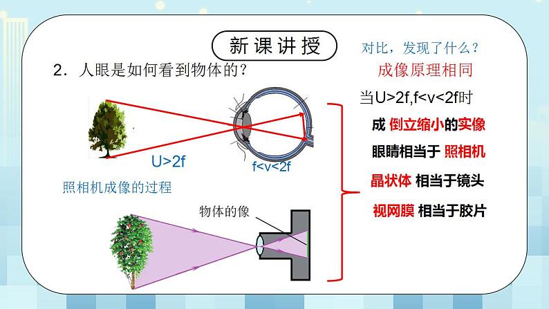 人教版8上物理第五章第4节《眼睛和眼镜》课件第4页