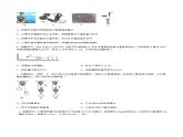 第十一章 简单机械和功 单元测试（基础过关）（原卷+解析卷）