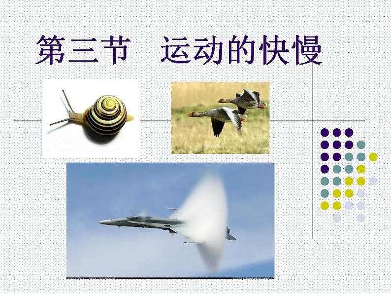 人教版八年级物理上册-1.3运动的快慢-课件101
