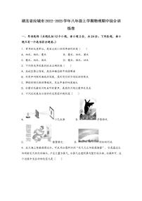 湖北省应城市2022-2023学年物理八年级（上)期中综合训练卷