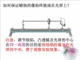 人教版八年级物理上册-5.3凸透镜成像的规律-课件