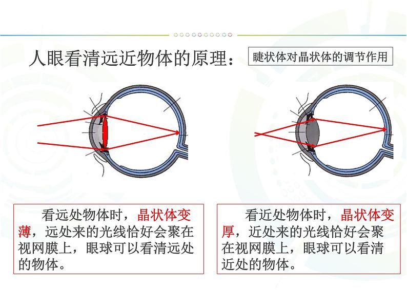 人教版八年级物理上册-5.4眼睛和眼镜-课件第4页