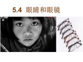 人教版八年级物理上册-5.4眼睛和眼镜-课件2