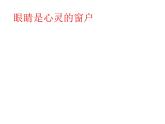 人教版八年级物理上册-5.4眼睛和眼镜-课件2