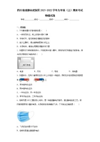 四川省成都市武侯区2021-2022学年九年级（上）期末考试物理试题(word版含答案)