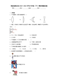 海南省陵水县2021-2022学年八年级（下）期末物理试题(word版含答案)