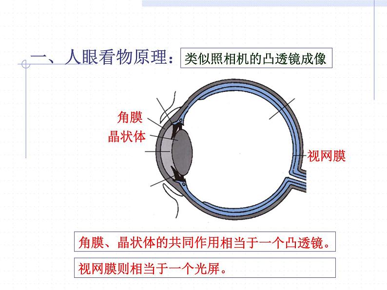 人教版八年级物理上册-5.4眼睛和眼镜-课件3第3页