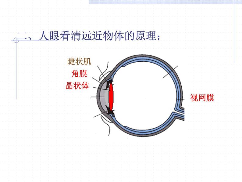 人教版八年级物理上册-5.4眼睛和眼镜-课件3第5页