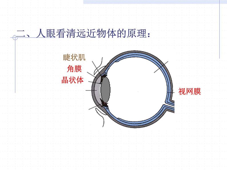 人教版八年级物理上册-5.4眼睛和眼镜-课件3第6页