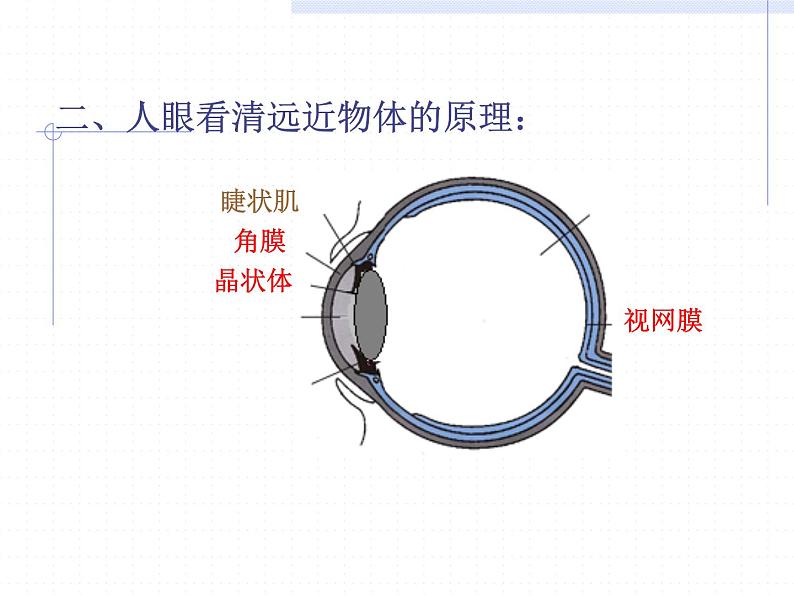 人教版八年级物理上册-5.4眼睛和眼镜-课件3第8页