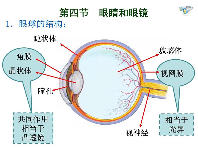 人教版八年级物理上册-5.4眼睛和眼镜-课件4第3页