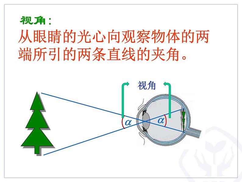 人教版八年级物理上册-5.5显微镜和望远镜-课件3第3页