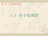 1.1分子动理论  课件   教科版九年级上册物理
