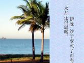 1.3比热容（课件）  教科版九年级物理上册