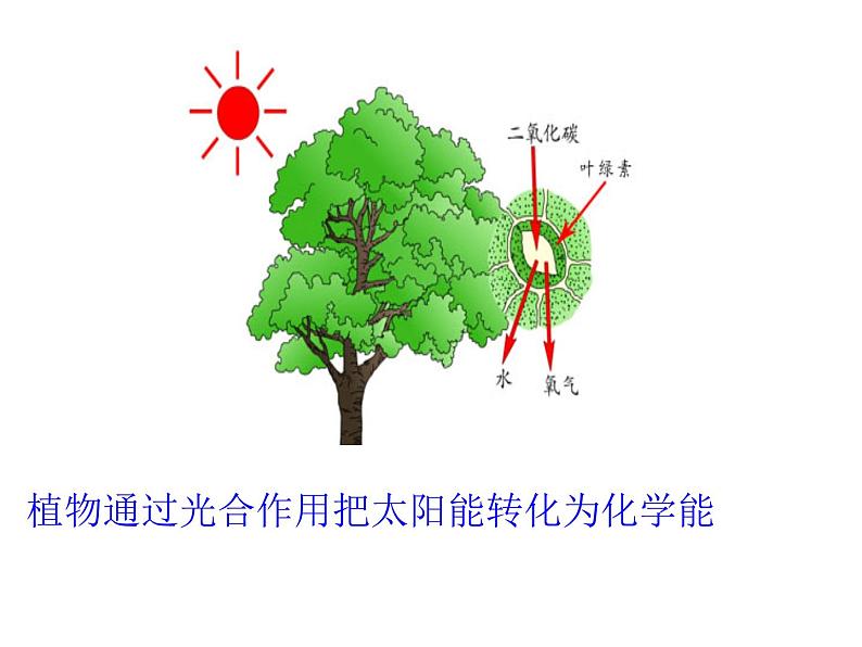 人教版九年级物理上册-14.3能量的转化和守恒-课件4第7页