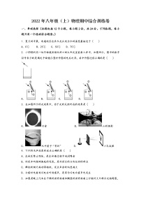 安徽省淮南市潘集区2022年八年级（上）物理期中综合训练卷(word版，含答案)