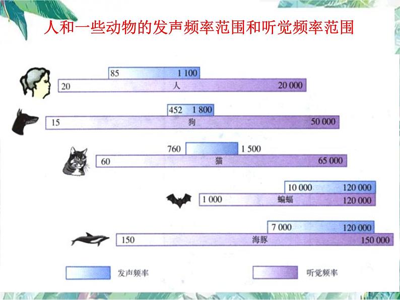 北师大版 八年级上册 《乐音》优质课件06