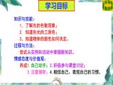 北师大版 八年级上册 物体的颜色 公开课课件