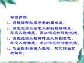 北师大版 八年级上册 光的折射 公开课课件