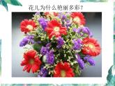 北师大版 八年级上册  物体的颜色 优质课件