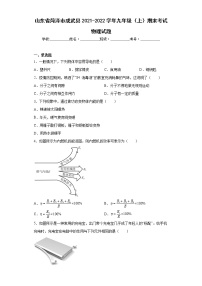 山东省菏泽市成武县2021-2022学年九年级（上）期末考试物理试题(word版含答案)