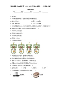 湖南省长沙市雨花区2021-2022学年九年级（上）期末考试物理试题(word版含答案)