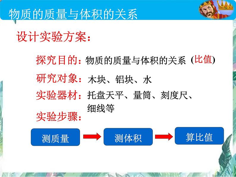 北师大版 八年级上册  探究---物质的密度 优质课件第8页