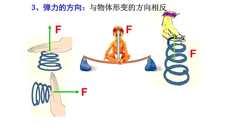 6.3弹力与弹簧测力计 课件    沪科版物理八年级06