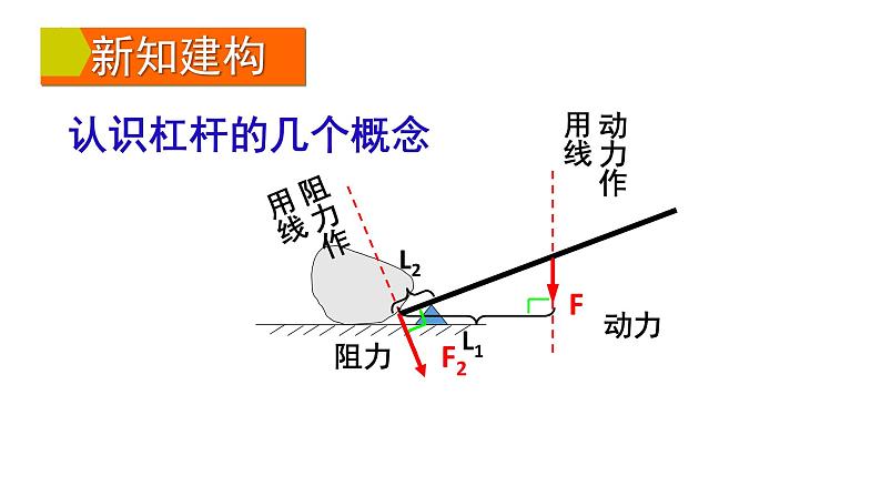 10.1 科学探究：杠杆的平衡条件   沪科版物理八年级第7页