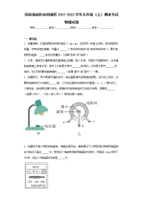 河南省南阳市宛城区2021-2022学年九年级（上）期末考试物理试题(word版含答案)