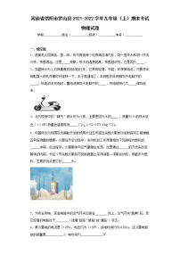 河南省信阳市罗山县2021-2022学年九年级（上）期末考试物理试题(word版含答案)