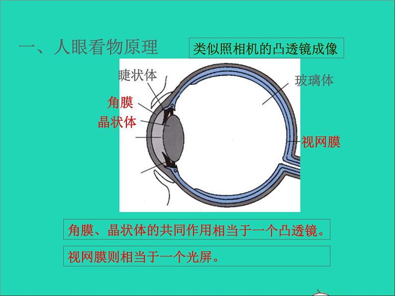 2022八年级物理上册第四章光的折射透镜4.4照相机与眼球视力的矫正课件新版苏科版第2页