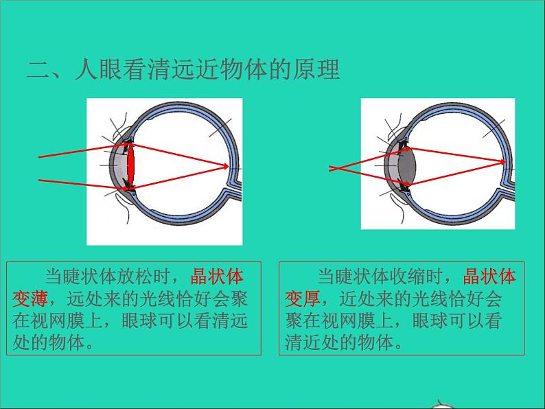 2022八年级物理上册第四章光的折射透镜4.4照相机与眼球视力的矫正课件新版苏科版第3页