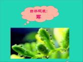 2022八年级物理上册第二章物态变化2.1物质的三态温度的测量课件新版苏科版