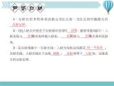 物理八年级上第4章第2节　光的反射 第1课时　光的反射定律作业教学课件